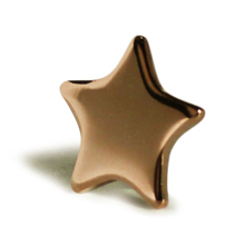 Bronze Star Badge School Rewards