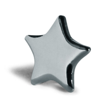 Silver Star Badge School Rewards