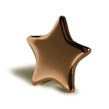 Bronze Star Badge School Rewards