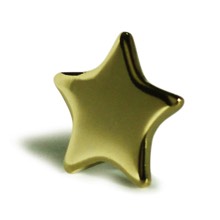 Gold Star Badge School Rewards